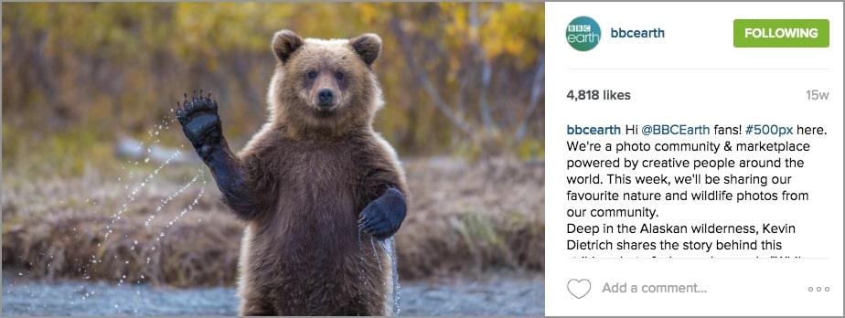 Instagram takeover example by BBCearth