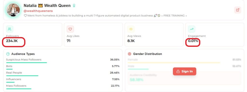 a macro influencer's data analytics